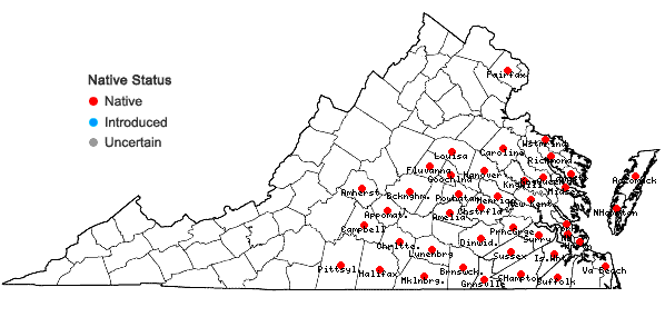 Locations ofPteridium aquilinum (L.) Kuhn ssp. pseudocaudatum (Clute) Hulten in Virginia