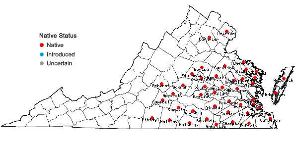 Locations ofPteridium aquilinum (L.) Kuhn ssp. pseudocaudatum (Clute) Hulten in Virginia