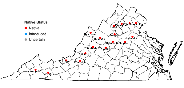 Locations ofPtilidium pulcherrimum (Weber) Vain. in Virginia