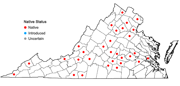 Locations ofPtychomitrium incurvum (Schwägr.) Spruce  in Virginia