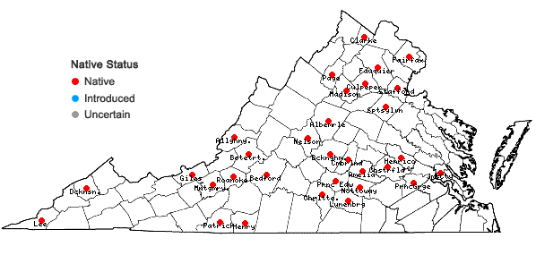 Locations ofPtychomitrium incurvum (Schwägr.) Spruce  in Virginia