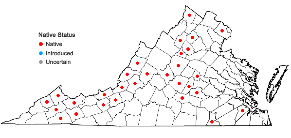 Locations ofPtychostomum pseudotriquetrum (Hedw.) J.R. Spence & H.P. Ramsay ex Holyoak & N. Pedersen in Virginia