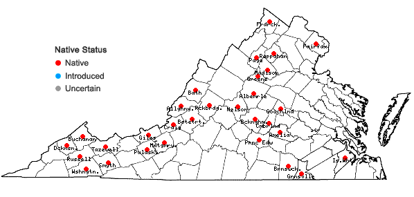 Locations ofPtychostomum pseudotriquetrum (Hedw.) J.R. Spence & H.P. Ramsay ex Holyoak & N. Pedersen in Virginia