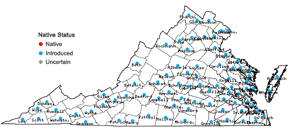 Locations ofPueraria montana (Loureiro) Merritt var. lobata (Willd.) Maesen & S. Almeida in Virginia