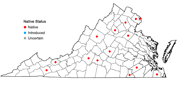 Locations ofPycnanthemum clinopodioides Torr. & Gray in Virginia