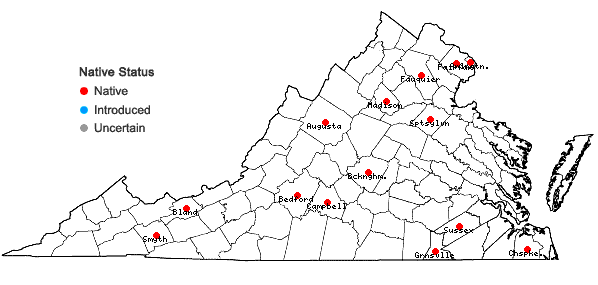 Locations ofPycnanthemum clinopodioides Torr. & Gray in Virginia
