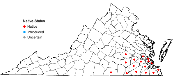 Locations ofPycnanthemum flexuosum (Walt.) B.S.P. in Virginia