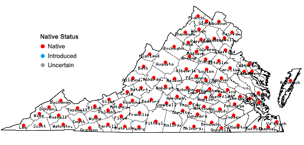 Locations ofPycnanthemum incanum complex in Virginia