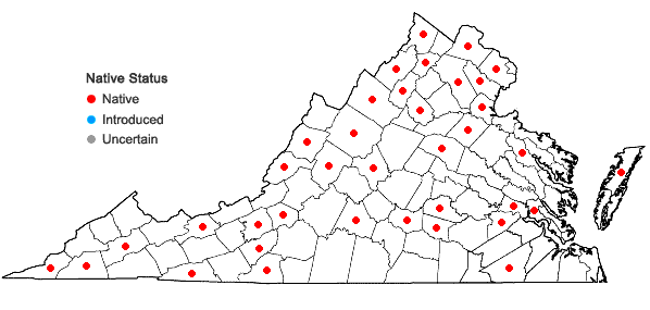 Locations ofPycnanthemum incanum (L.) Michx. var. incanum in Virginia
