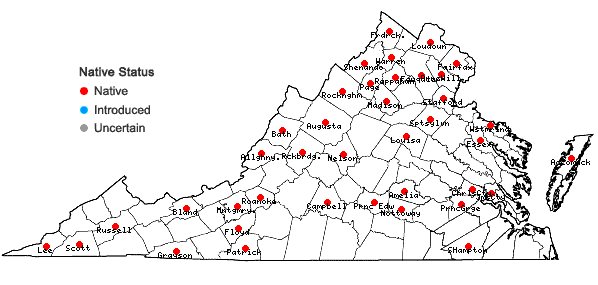 Locations ofPycnanthemum incanum (L.) Michx. var. incanum in Virginia