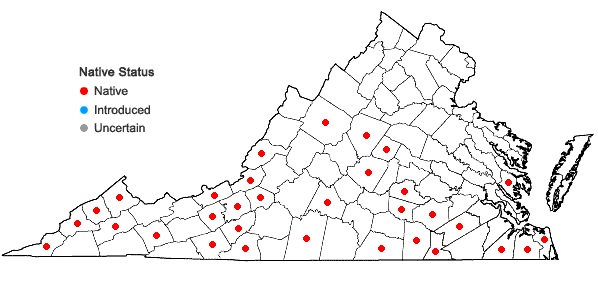 Locations ofPycnanthemum loomisii Nutt. in Virginia