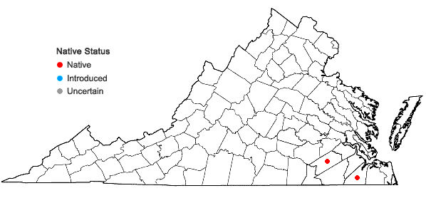 Locations ofPycnanthemum monotrichum Fern. in Virginia