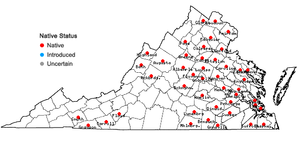 Locations ofPycnanthemum muticum (Michx.) Pers. in Virginia