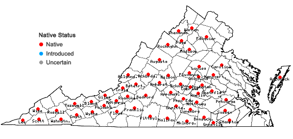 Locations ofPycnanthemum pycnanthemoides (Leavenworth) Fern. in Virginia