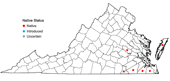Locations ofPycnanthemum setosum Nutt. in Virginia