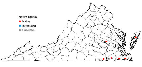 Locations ofPycnanthemum setosum Nutt. in Virginia