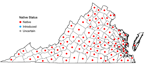 Locations ofPycnanthemum tenuifolium Schrad. in Virginia