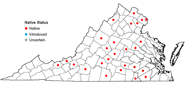 Locations ofPycnanthemum torreyi Benth. in Virginia