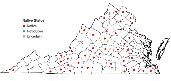 Locations ofPycnanthemum verticillatum (Michx.) Pers. var. verticillatum in Virginia