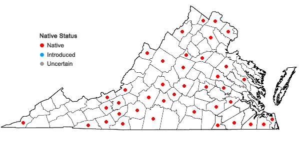 Locations ofPycnanthemum verticillatum (Michx.) Pers. in Virginia