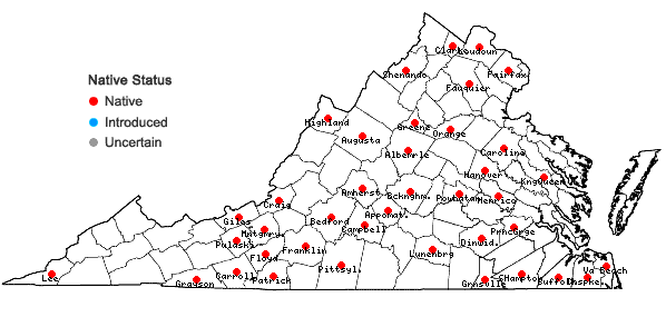 Locations ofPycnanthemum verticillatum (Michx.) Pers. in Virginia