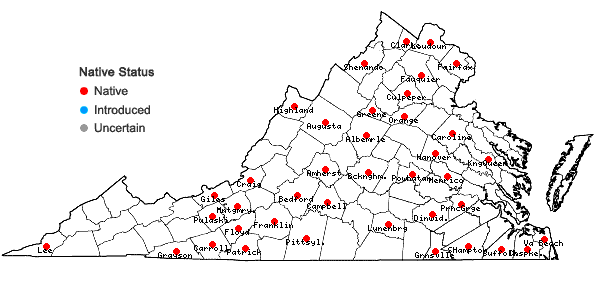 Locations ofPycnanthemum verticillatum (Michx.) Pers. in Virginia