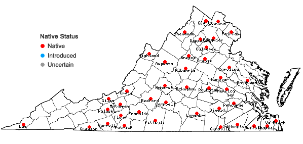 Locations ofPycnanthemum verticillatum (Michx.) Pers. in Virginia