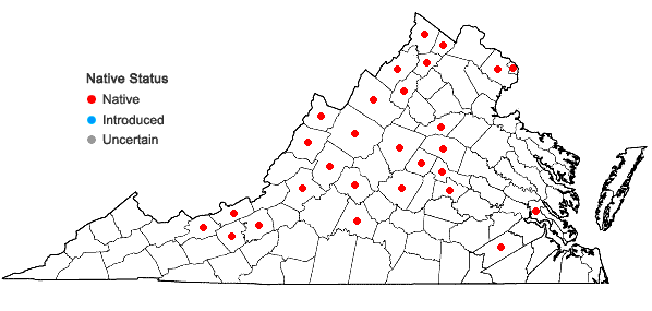 Locations ofPycnanthemum virginianum (L.) T. Dur. & B.D. Jackson ex B.L. Robins. & Fern. in Virginia