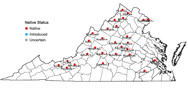 Locations ofPycnanthemum virginianum (L.) T. Dur. & B.D. Jackson ex B.L. Robins. & Fern. in Virginia