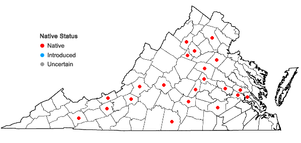 Locations ofPylaisia condensata (Mitt.) A. Jaeger in Virginia