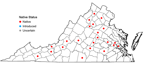 Locations ofPylaisia condensata (Mitt.) A. Jaeger in Virginia