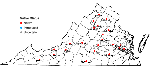 Locations ofPylaisia condensata (Mitt.) A. Jaeger in Virginia