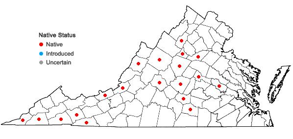 Locations ofPylaisia intricata (Hedw.) Schimp. in Virginia