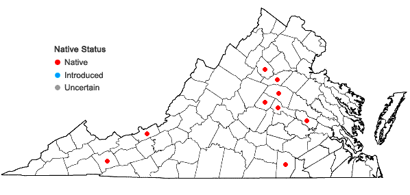 Locations ofPylaisia polyantha (Hedw.) Schimp. in Virginia