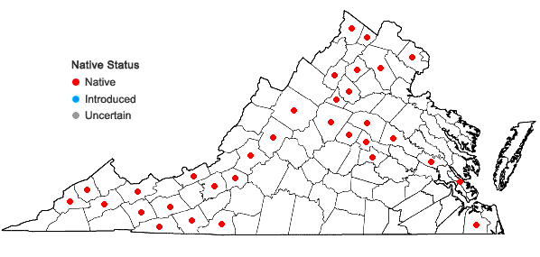 Locations ofPylaisiadelpha tenuirostris (Bruch & Schimp. ex Sull.) W.R. Buck in Virginia