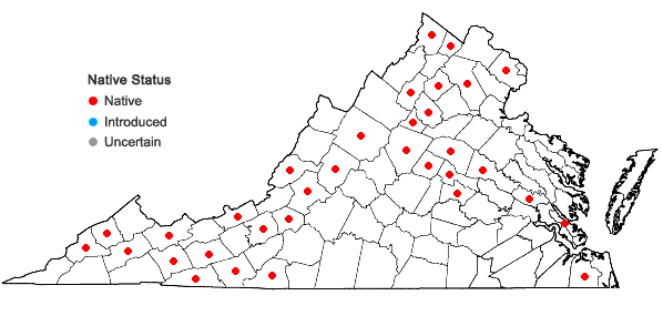 Locations ofPylaisiadelpha tenuirostris (Bruch & Schimp. ex Sull.) W.R. Buck in Virginia