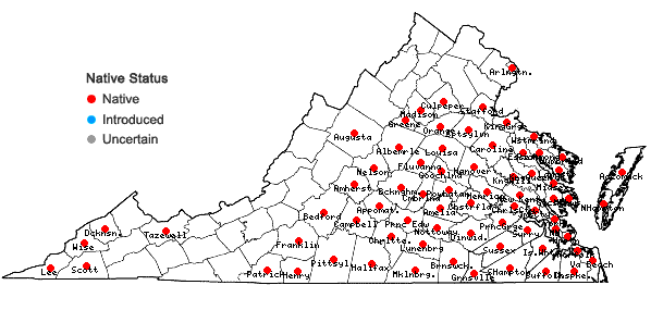 Locations ofPyrrhopappus carolinianus (Walt.) DC. in Virginia