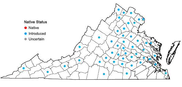 Locations ofPyrus calleryana Dcne. in Virginia