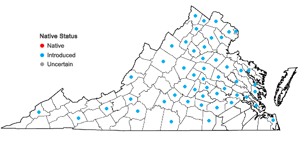 Locations ofPyrus calleryana Dcne. in Virginia