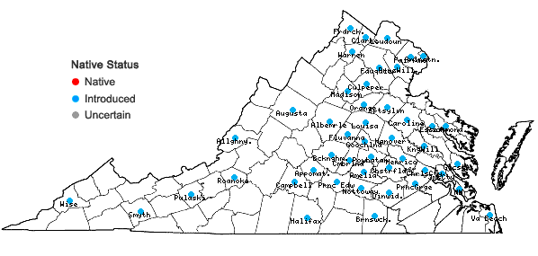 Locations ofPyrus calleryana Dcne. in Virginia