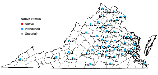 Locations ofPyrus calleryana Dcne. in Virginia