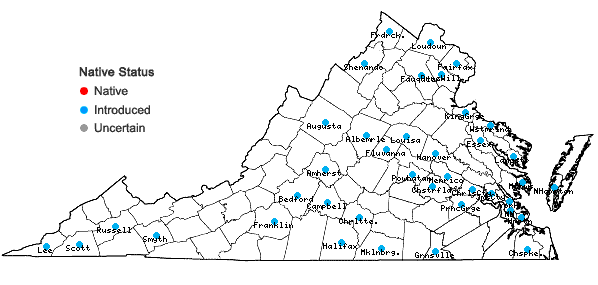 Locations ofPyrus communis L. in Virginia