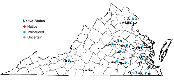 Locations ofPyrus pyrifolia (Burm. f.) Nakai in Virginia