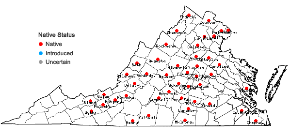 Locations ofQuercus bicolor Willdenow in Virginia