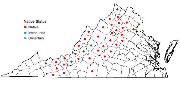 Locations ofQuercus ilicifolia Wangenheim in Virginia