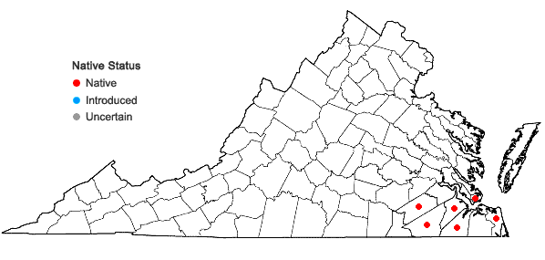 Locations ofQuercus incana W. Bartram in Virginia