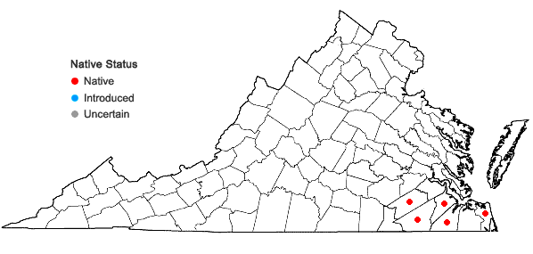 Locations ofQuercus laevis Walter in Virginia