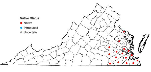Locations ofQuercus laurifolia Michaux in Virginia