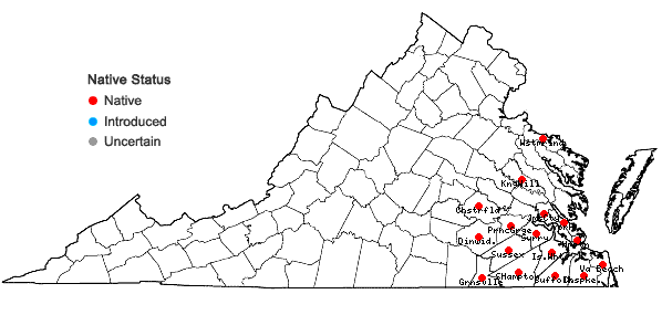 Locations ofQuercus laurifolia Michaux in Virginia