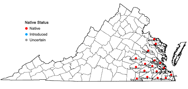 Locations ofQuercus laurifolia Michaux in Virginia